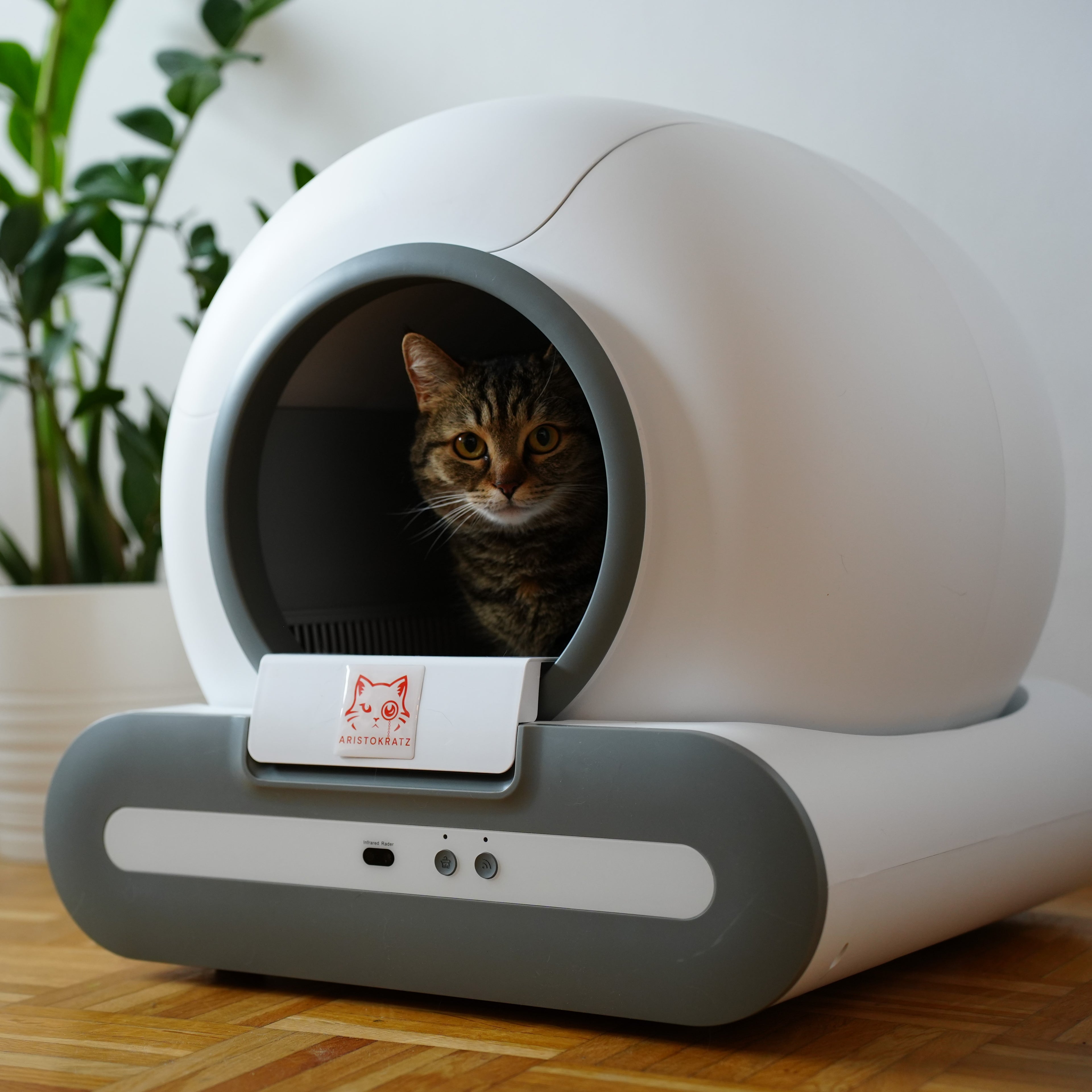 DasKlo - Premium Package